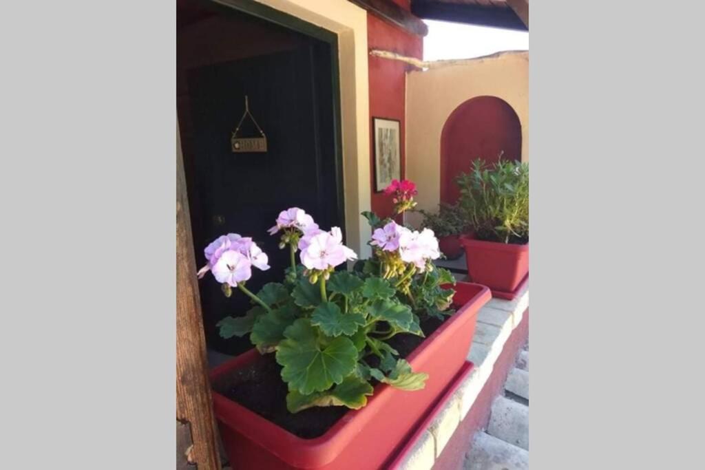 Green Hill Studio Corfu Town Exteriér fotografie